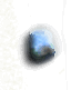 Text 1