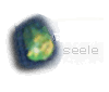 Seele