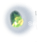Seele